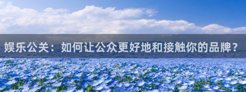 美狮贵宾会游戏官网平台入口
