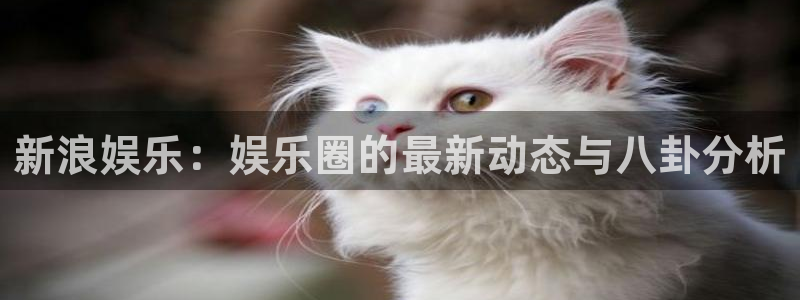 壹号app下载链接