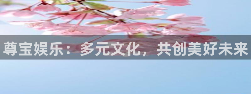 美狮贵宾会下载官网入口在哪