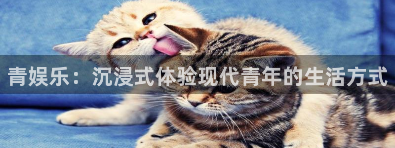 美狮贵宾会平台登录