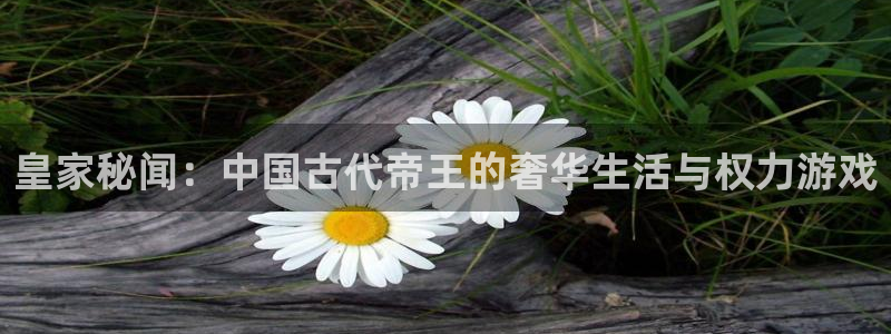 美狮贵宾会.ccm官网版