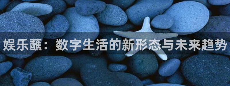 美狮贵宾会.ccm