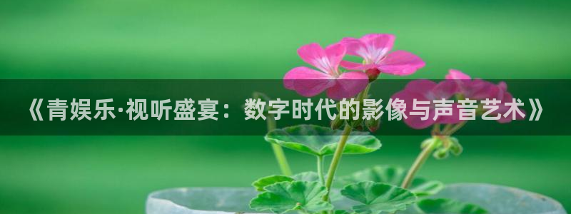 美狮贵宾会下载并安装：《青娱乐·视听盛宴：数字时代的影像与声音艺术》