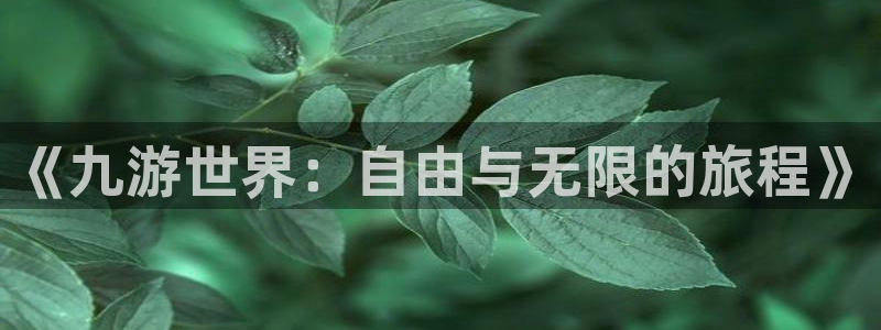 美狮贵宾会是什么：《九游世界：自由与无限的旅程》