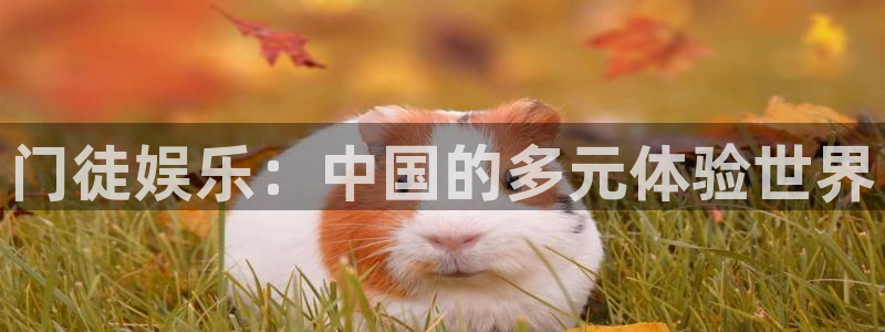 美狮贵宾会ms092021：门徒娱乐：中国的多元体验世界