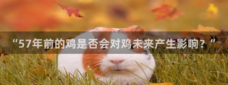 美狮贵宾会旧版app下载：“57年前的鸡是否会对鸡未来产生影响？”