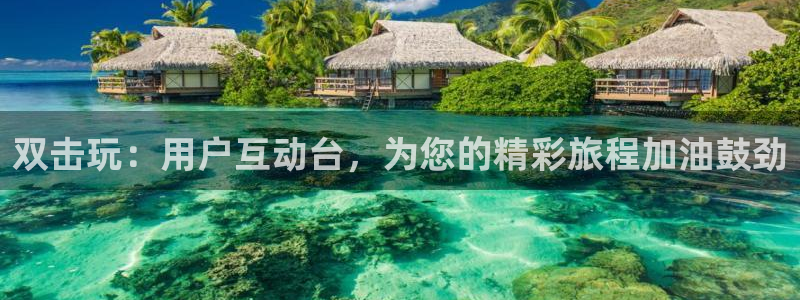 壹号大舞台官网：双击玩：用户互动台，为您的精彩旅程加油鼓劲