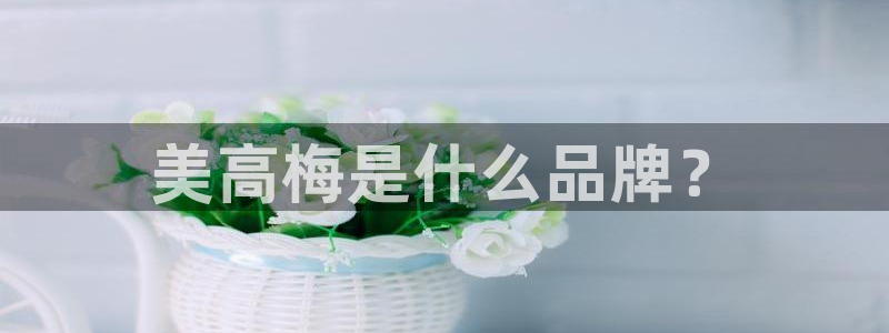 美狮贵宾会网站平台：美高梅是什么品牌？