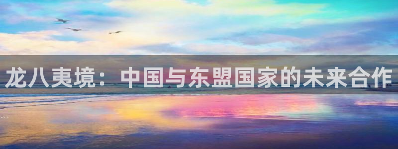 美狮贵宾会是什么平台：龙八夷境：中国与东盟国家的未来合作