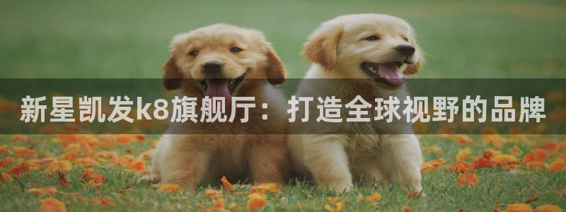 壹号top娱乐：新星凯发k8旗舰厅：打造全球视野的品牌