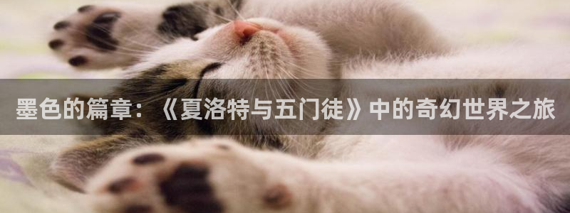 美狮贵宾会登录网：墨色的篇章：《夏洛特与五门徒》中的奇幻世界之旅
