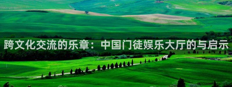 美狮贵宾会app最新版怎么下载苹果：跨文化交流的乐章：中国门徒娱乐大厅的与启示
