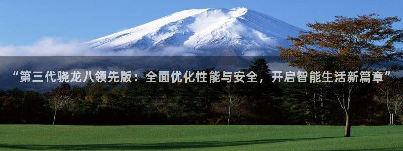 美狮贵宾会app下载：“第三代骁龙八领先版：全面优化性能与安全，开启智能生活新篇章”