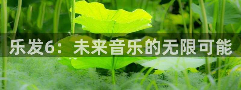 壹号app下载：乐发6：未来音乐的无限可能