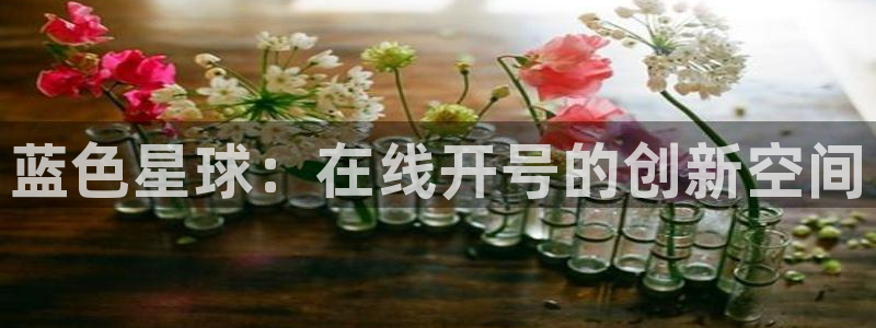 美狮贵宾会com：蓝色星球：在线开号的创新空间