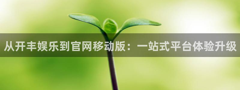 ms1129美狮贵宾会：从开丰娱乐到官网移动版：一站式平台体验升级