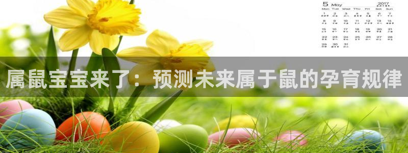 美狮贵宾会网站登录流程：属鼠宝宝来了：预测未来属于鼠的孕育规律