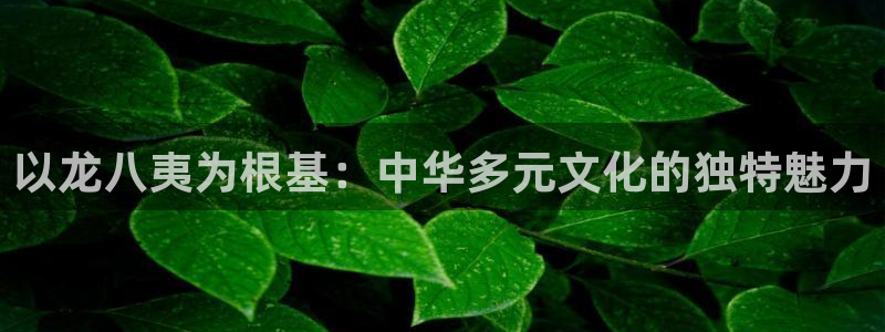 美狮贵宾会入口：以龙八夷为根基：中华多元文化的独特魅力