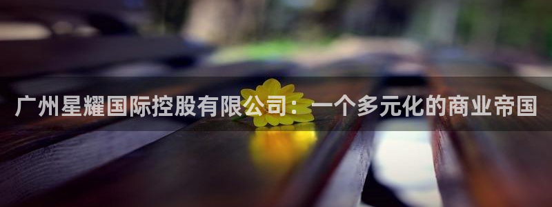 壹号大舞台28国际大舞台：广州星耀国际控股有限公司：一个多元化的商业帝国