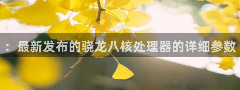 美狮贵宾会注册链接入口：：最新发布的骁龙八核处理器的详细参数