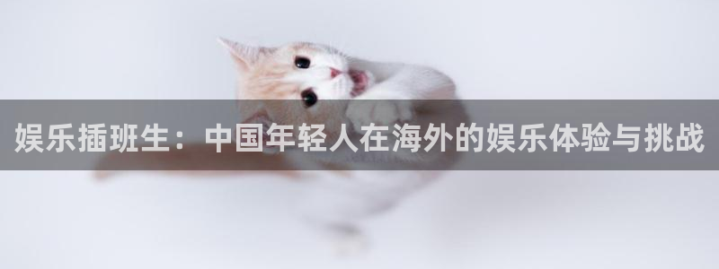 美狮贵宾会下载：娱乐插班生：中国年轻人在海外的娱乐体验与挑战
