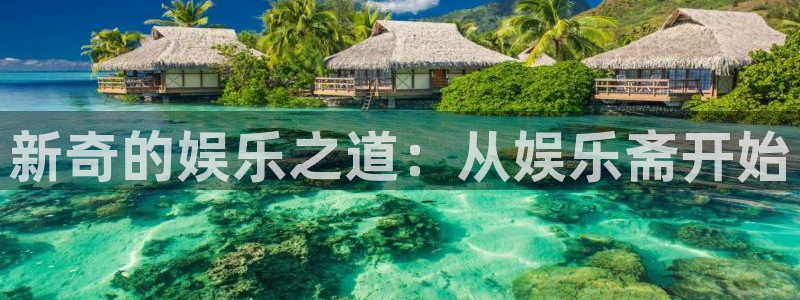 美狮贵宾会充值怎么退款：新奇的娱乐之道：从娱乐斋开始