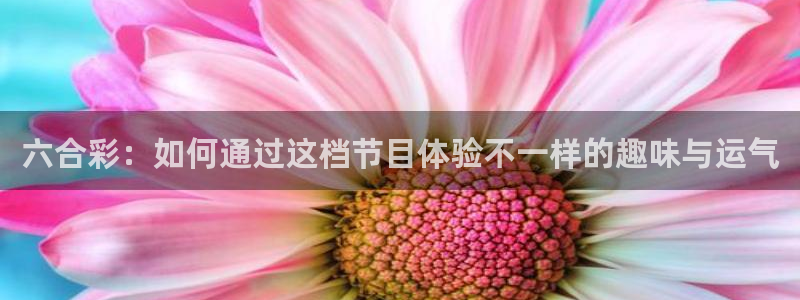 美狮贵宾会会员登录：六合彩：如何通过这档节目体验不一样的趣味与运气