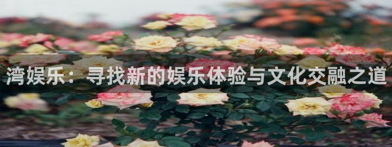 美狮贵宾会网站：湾娱乐：寻找新的娱乐体验与文化交融之道