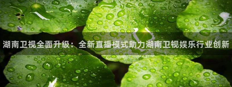 美狮贵宾会官网下载：湖南卫视全面升级：全新直播模式助力湖南卫视娱乐行业创新