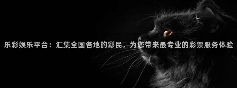 壹号下载官网入口：乐彩娱乐平台：汇集全国各地的彩民，为您带来最专业的彩票服务体验