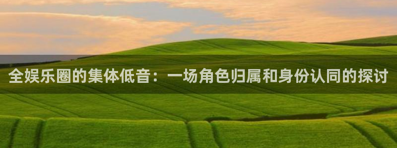 美狮贵宾会加拿大在线预测：全娱乐圈的集体低音：一场角色归属和身份认同的探讨
