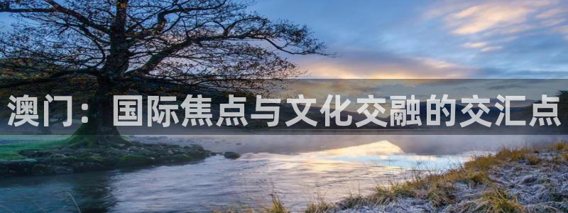 美狮贵宾会免费注册