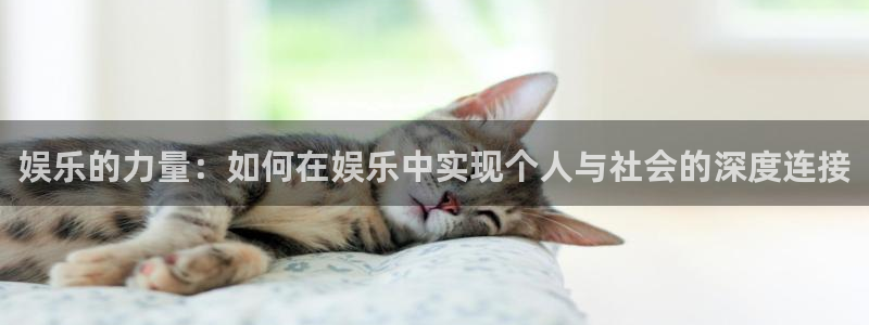 美狮贵宾会电子娱乐官网下载