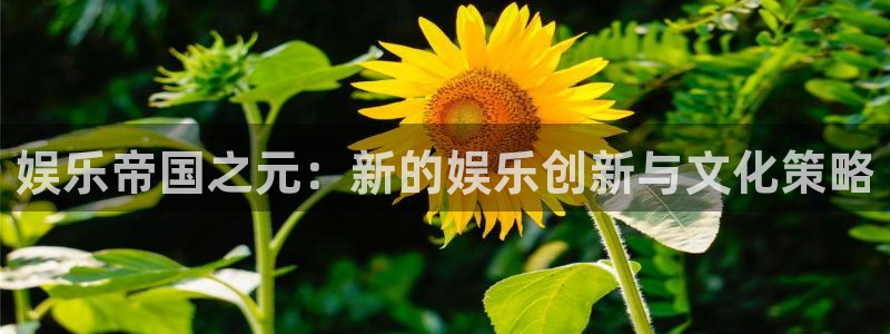 壹号app官网版下载：娱乐帝国之元：新的娱乐创新与文化策略